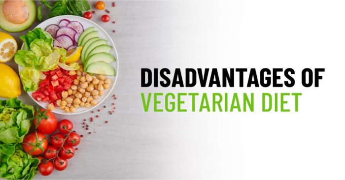 Vegetarian diet concerns