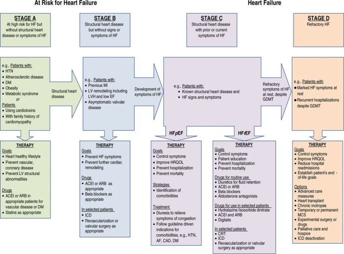 Hf medical abbreviation