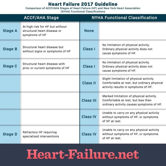 Hf medical abbreviation