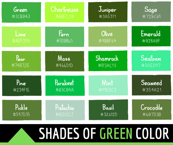 What is the most popular frank green colour